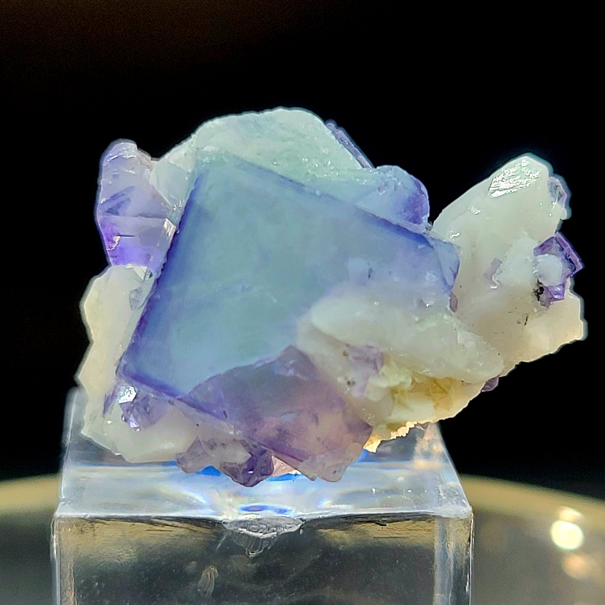 ポーセリン フローライト 329 ポーセリンフローライト 329 ポーセリン