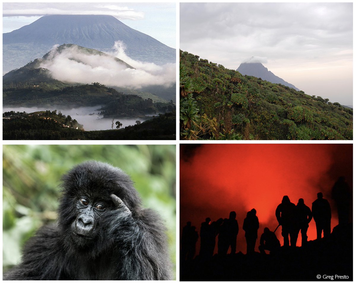This is cool: One of my favorite old photos—the top of Nyiragongo—is featured in this <a href="/africageo/">Africa Geographic</a> article on Virunga National Park:
africageographic.com/stories/virung…