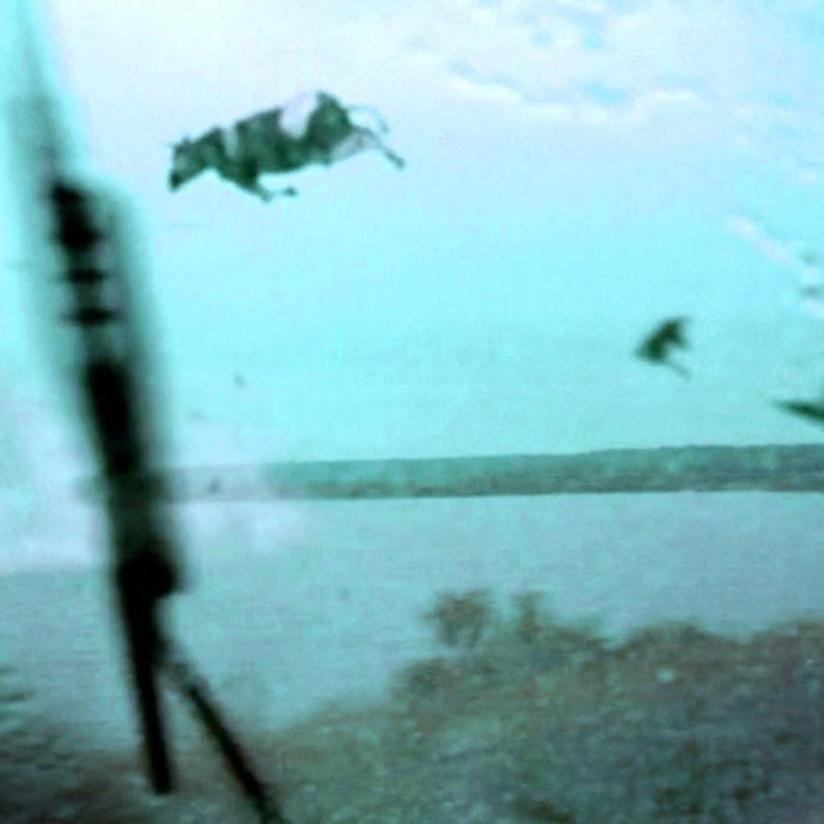 out today on Blorpus Editions
catalog#:BLORP15

M. Geddes Gengras
Twister (2)

Ged's rescore of the 1996 film Twister edited into a ~75 min album incarnation. composed on a stripped down rig of synth, drum machine, &amp; pedals. weightless drifts &amp; beat swirls, driving bass, zones 🎐