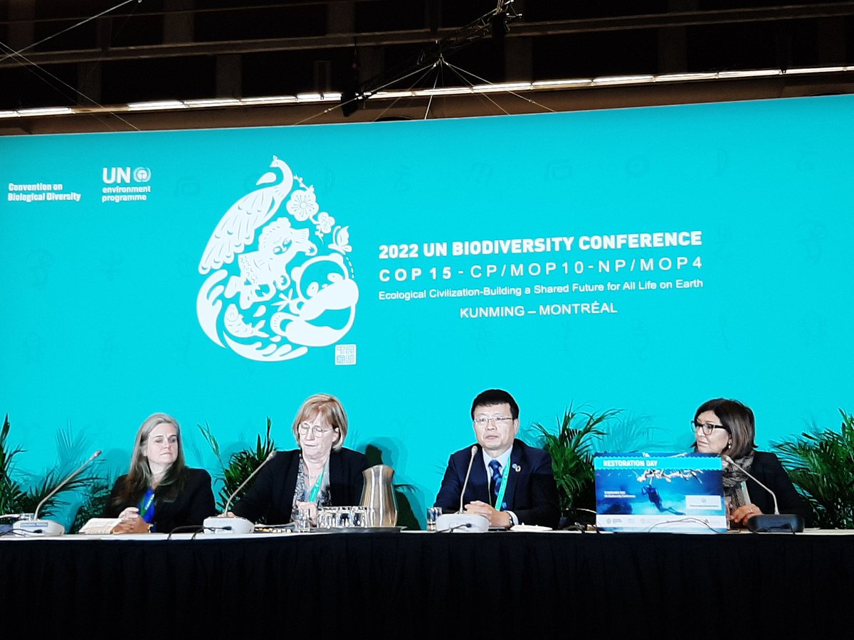 JaneMadgwick's tweet photo. High level panel in #RestorationDay emphasise ecosystem restoration is a central party of transforming food systems and that aquatic ecosystems need more attention in this #generationrestoration @ WetlandsInt @FAO https://t.co/mjc1zwNkY0