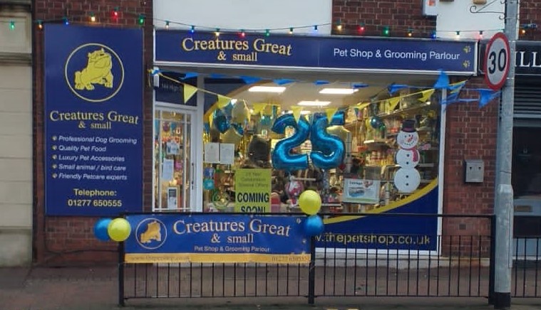Creatures8's tweet photo. Happy Birthday to us today 🥳🎉2 years since we were 25 years old. Thank you to all our loyal customers for their support and a huge thankyou to our team at Creatures who make every day possible, we know we wouldn't be here without you all #billericay #supportlocal #localbusiness https://t.co/A6Gadl5w3d