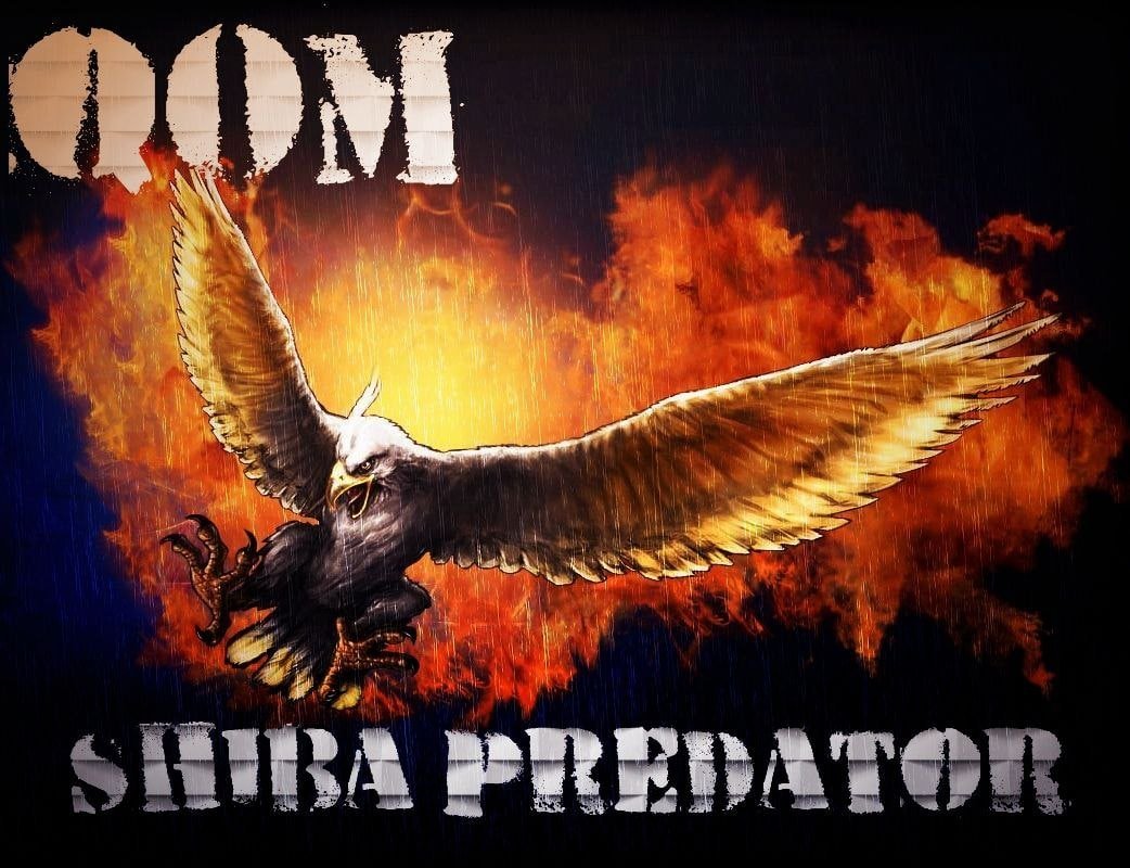 Nimarasool's tweet photo. @binance 🔥🔥You will be rich soon. If you buy #QOM currency

🌟🌟This is Shiba killer currency. You will soon see its power

$QOM #QOM #COMMUNITY #QOM2QOM 
#BIRDSEASON #ShibaPredator #theflippening #flipshib #qomspiracy #1000x #SHIB https://t.co/C1sNKgLGt1
