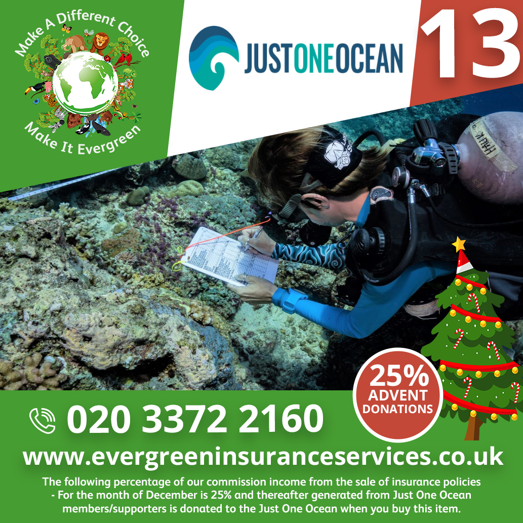 Evergreen Insurance Services (@ethical_ins) on Twitter photo We're an #ethical #insurance broker that will donate up to 25% of our commission to <a href="/JustOneOcean/">Just One Ocean</a> at no extra cost to you when you take out a policy.
evergreeninsuranceservices.co.uk We're an #ethical #insurance broker that will donate up to 25% of our commission to <a href="/JustOneOcean/">Just One Ocean</a> at no extra cost to you when you take out a policy.
evergreeninsuranceservices.co.uk