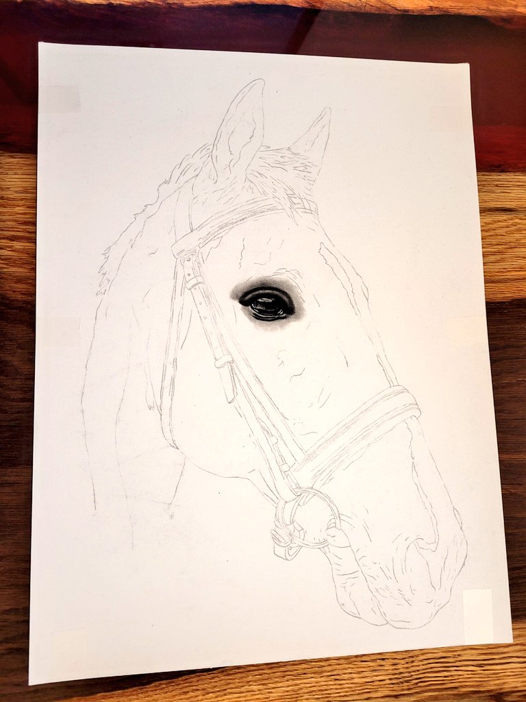 art_by_m_reider's tweet photo. Starting a black/white study with only one pencil
#art #coloredpencils #faygoraart #animalart #animalartist #equineart #horsedrawing #onepencil https://t.co/TEGc32om4x