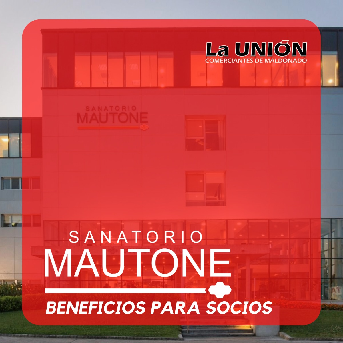 UDCMaldonado's tweet photo. Al ser SOCIO de LA UNIÓN DE COMERCIANTES MALDONADO
obtienes muchos beneficios‼️

Si aún no los conoces, estamos para asesorarte.

☎️ 42227212 📲091 227 285
📍Ventura Alegre entre Rincón y San Carlos

#unión #comerciantes #minoristas #maldonado 
#uruguay #beneficios #descuentos https://t.co/qb3b2QsBi3
