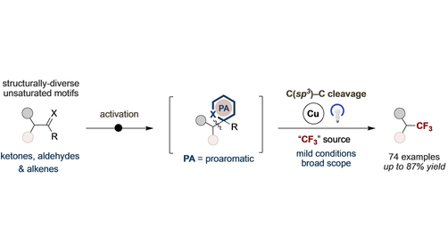 Trifluoromethylation of Carbonyl and Unactivated Olefin Derivatives by C(sp3)-C Bond Cleavage (Martin) <a href="/rmartinICIQ/">Ruben Martin</a> <a href="/ICIQchem/">ICIQ</a> onlinelibrary.wiley.com/doi/10.1002/an…