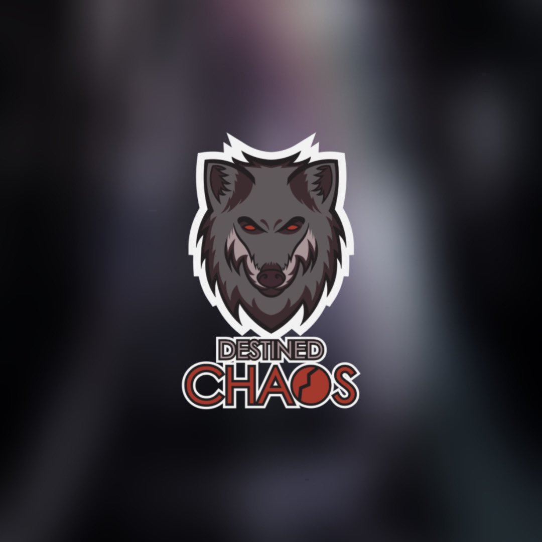 DestinedOW's tweet photo. Our roster for the Mythical Esports Christmas Tournament!

🛡️Rize
🔫 @ow_qix 
🗡️ @ChampPingu 
💊 @TdcSkyler 
💉@ZweeDaLegend 

#WeAreChaos🐼 #Overwatch #OW2 @OrgMythical https://t.co/YgZlvjoWDU