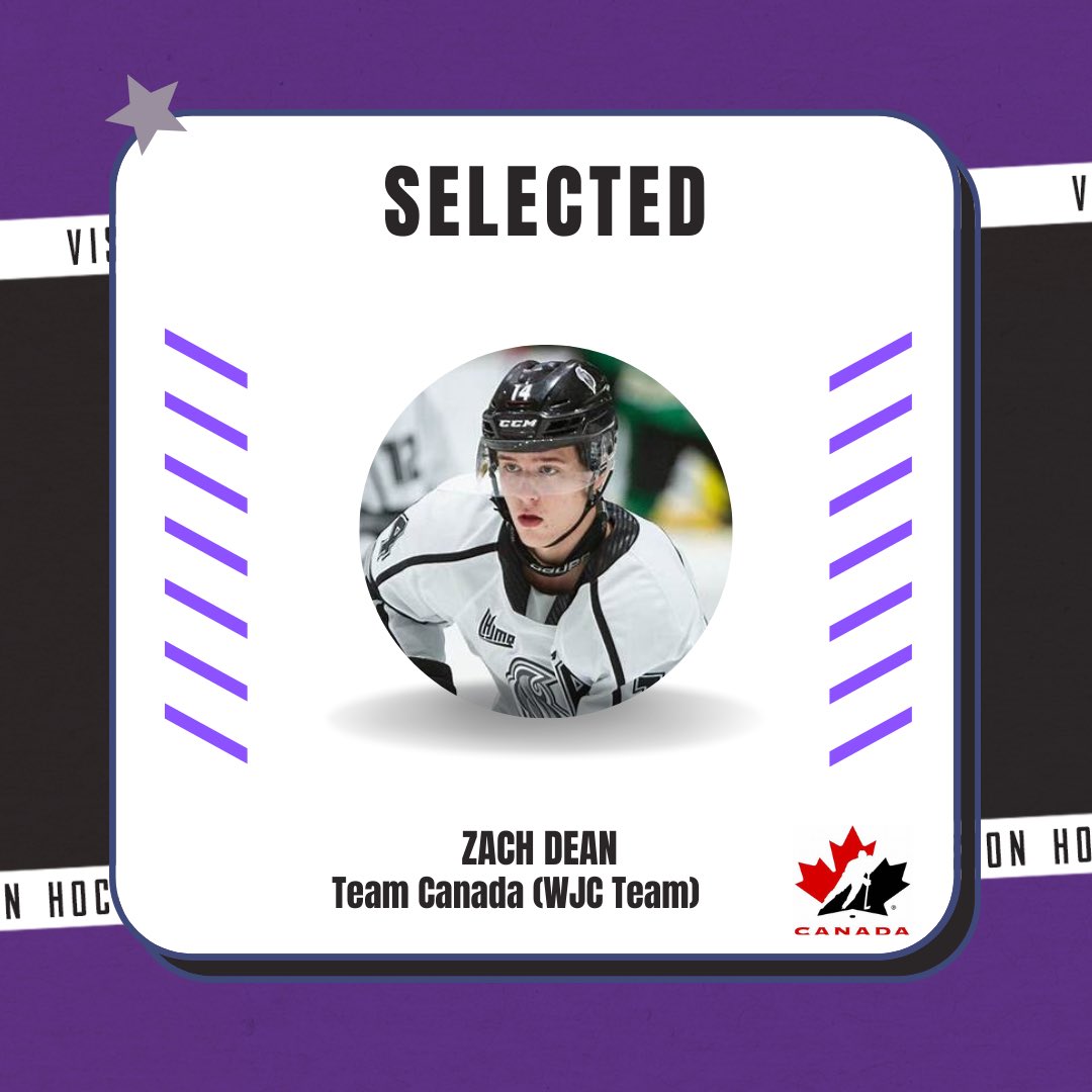 Vision Hockey Group tweet media