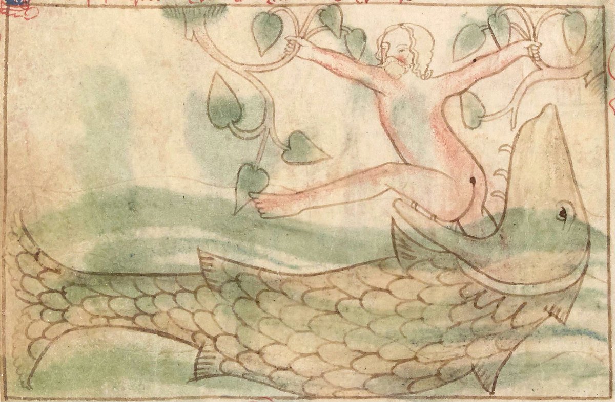 weird medieval guys tweet media