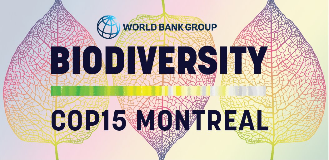 The global decline of nature is a critical development issue disproportionately impacting low-income countries. Investing in nature is important for economic prosperity, livelihoods &amp; the planet. Learn more about <a href="/WorldBank/">WorldBank</a> at #COP15 wrld.bg/u8Yz50M28T0.
#COP15_WBG #ForNature