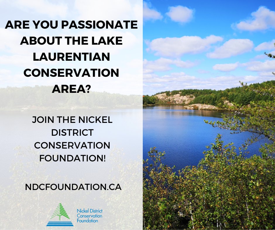 We're looking for general members as well as members with marketing, communication, and financial planning skills.  If this sounds like you and you live in the City of Greater of Sudbury, apply today! forms.gle/FAiw4CWbtbqnrq…