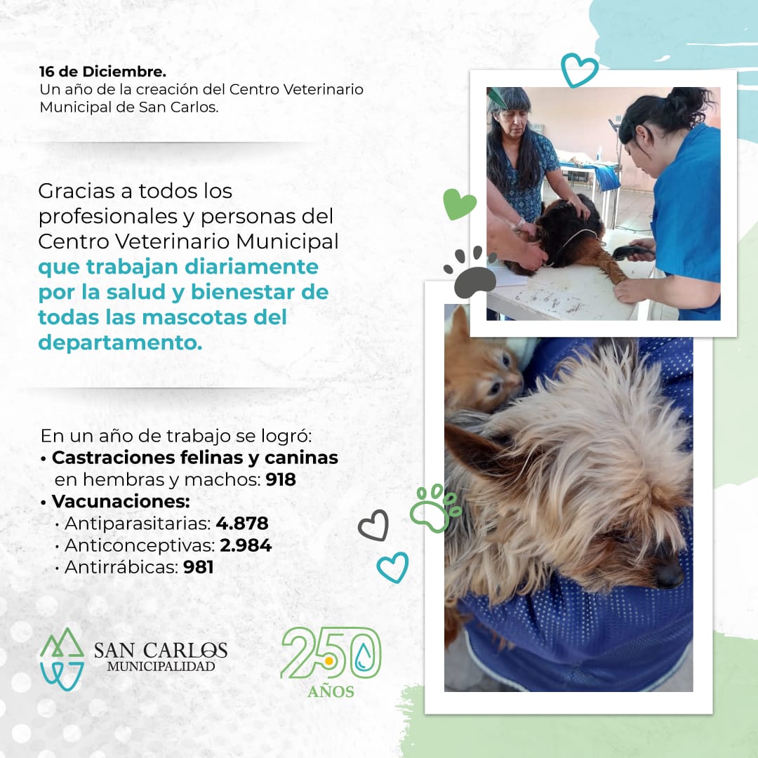 RolandoScanio's tweet photo. ¡𝗡𝘂𝗲𝘀𝘁𝗿𝗼 "𝗛ᴏ𝘀ᴘɪᴛᴀʟ 𝗩ᴇᴛᴇʀɪɴᴀʀɪᴏ 𝗠ᴜɴɪᴄɪᴘᴀʟ" 𝗰𝘂𝗺𝗽𝗹𝗲 𝘂𝗻 𝗮𝗻̃𝗼 𝗱𝗲 𝗶𝗻𝗮𝘂𝗴𝘂𝗿𝗮𝗱𝗼! 🐶🐱
Con servicios gratuitos y un ágil sistema de entrega de turnos a través de Qr.
#SanCarlos #250años #mequedoconvos https://t.co/EQJRYa0gMl