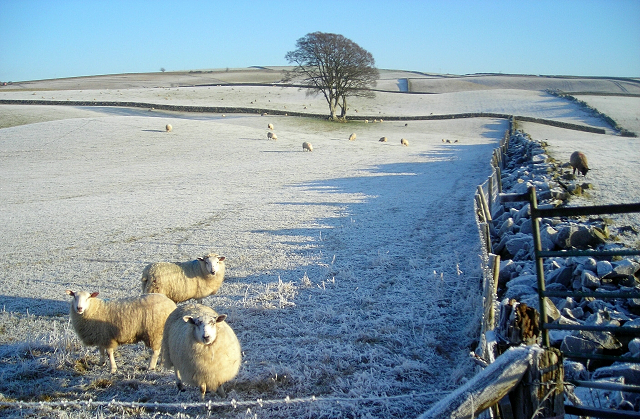 CountrysideClassroom tweet media