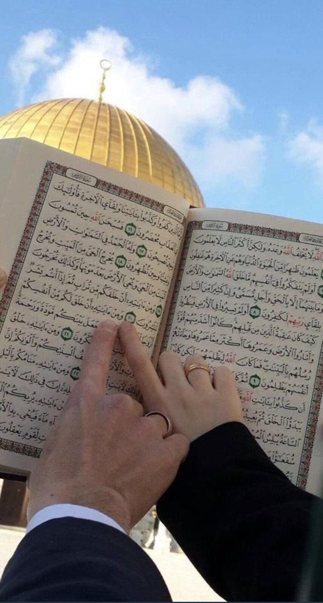 VentagliP's tweet photo. “Fuochi d’artificio o bombe?”
spesso chiedeva Loren
in un americano fresco, preoccupato.
“Un matrimonio, forse”, rispondevo di solito
o “A dicembre non ci sono matrimoni”.
#Rifqa ~ Mohammed El-Kurd
@FandangoLibri
#IlMondoELaSuaPoesia per #CasaLettori
@CasaLettori https://t.co/J2YkSbIfFd
