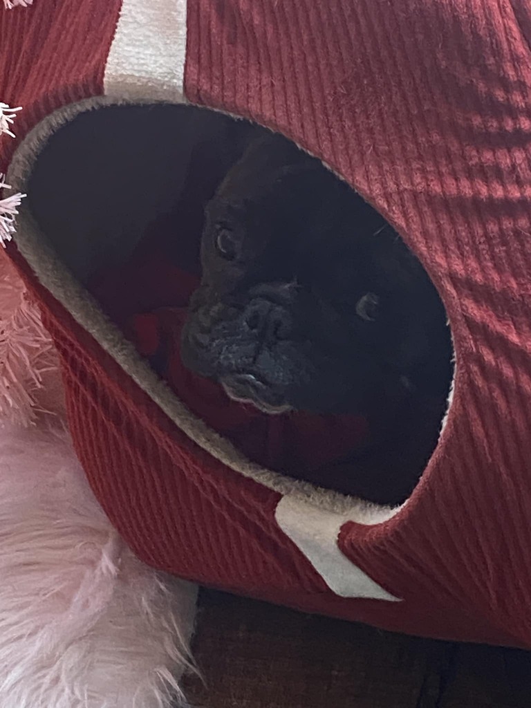 DiabLoco_'s tweet photo. Zen Reminder from Greta: 

Stay in the present. 😉 😂 https://t.co/OyLEIpYjAW https://t.co/792D1pGDx2