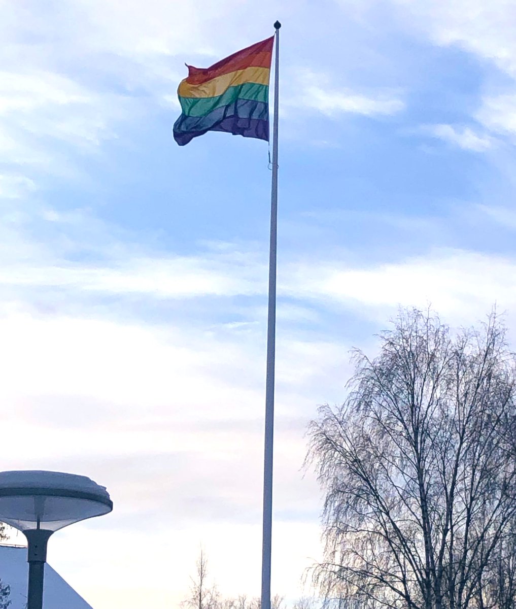 Folkhögskolan i Bollnäs har hissat regnbågsflaggan.
