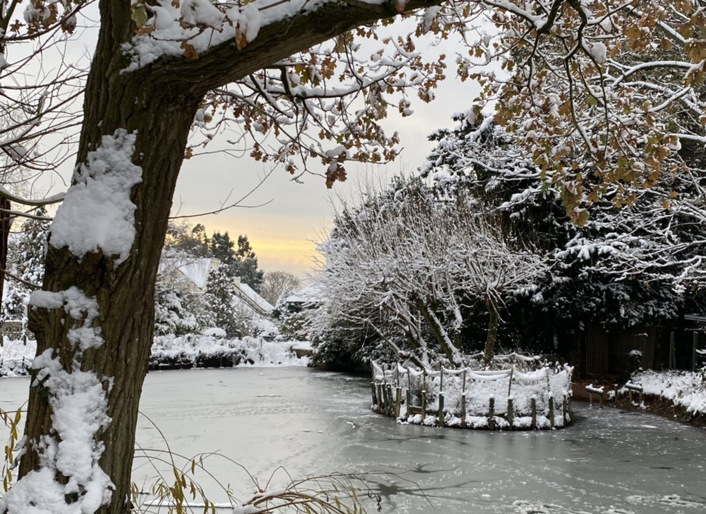 Danielle Benson tweet media