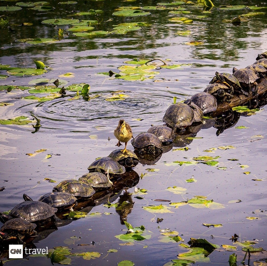 NewsyMartin's tweet photo. Beauty of nature 👌🏽 https://t.co/xKEpEVwh7e