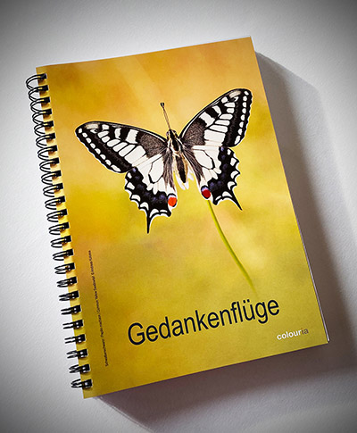 colouria's tweet photo. Tipp für Geschenke oder zur Eigennutzung: 
https://t.co/j23jV0J59l

#geschenketipp #geschenke #weihnachtsgeschenke #schmetterlinge #butterflies #lepidoptera #schwalbenschwanz #papiliomachaon #andreaskolossa https://t.co/ot6rF4KlFd