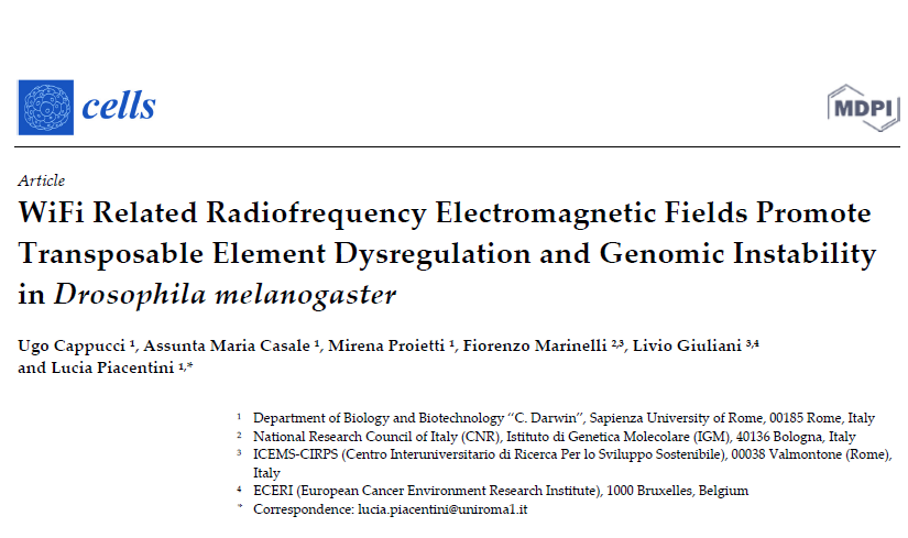Open access.

'...our findings provide evidence that #WiFi related #radiofrequency #electromagnetic fields can induce reactive oxygen species (ROS) accumulation, genomic instability, and behavioural abnormalities...'

mdpi.com/2073-4409/11/2…