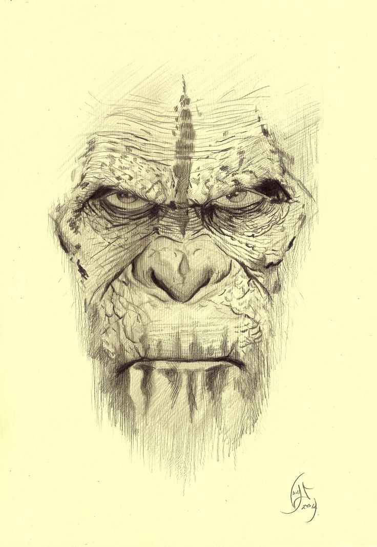 Hit a Support and get a Evil Ape sketch this week <a href="/buymeacoffee/">Buy Me a Coffee</a>
