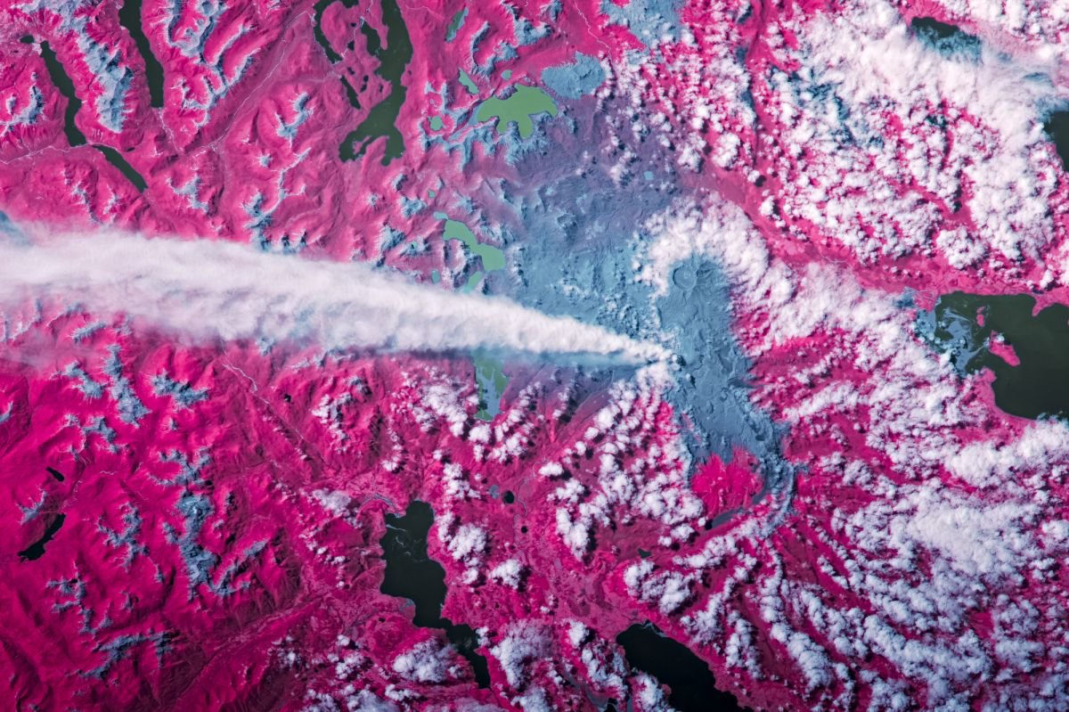 astro_Pettit's tweet photo. Erupting volcano in near infrared and visible imagery (in comments), south Patagonia region, #Argentina. The magenta regions show healthy forests, the gray areas show where the eruption has decimated the surroundings. Taken from @Space_Station on my previous mission. https://t.co/0I3g6dC5iQ