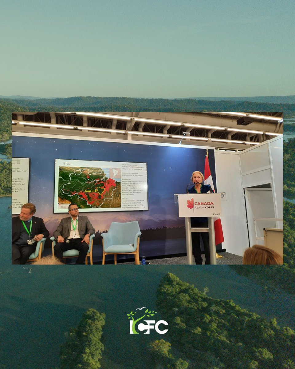 ICFC at COP15! 🌿😎

This weekend the ICFC team was in full force in Montreal. We showcased several high priority projects and presented: "A Model for Scaling up Global Biodiversity Conservation with Indigenous People and Local Communities."

#COP15 #ForNature #Biodiversity