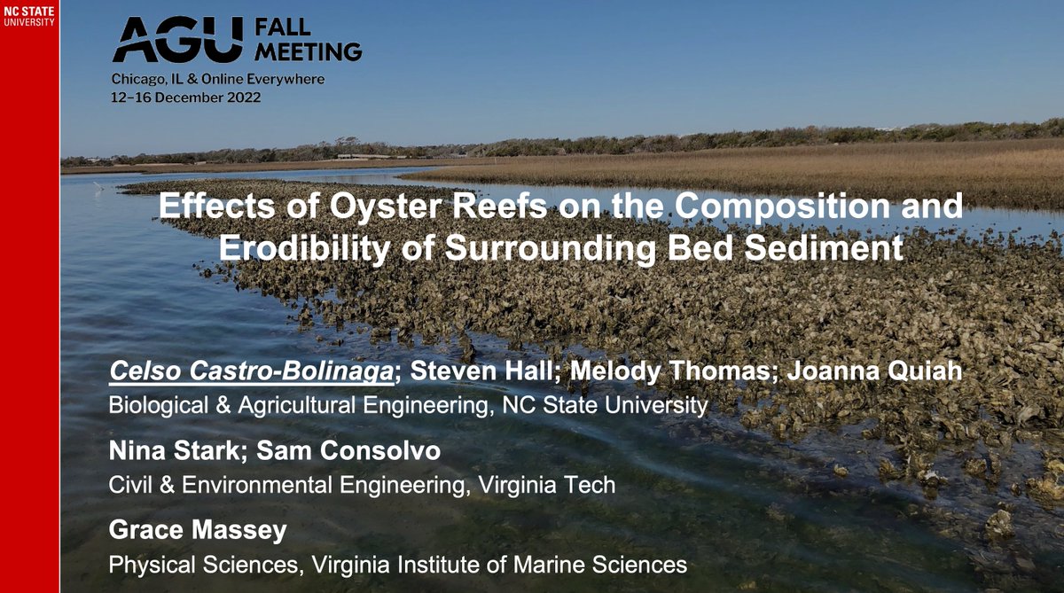 IsamarCortes1's tweet photo. Kicking of the second oral session for #CoastalBio is our second invited speaker @cfcastro_NCSU who's talk is titled "Effects of Oyster Reefs on the Composition and Erodibility of Surrounding Bed Sediment" @theAGU #AGU22 #CoastalBio https://t.co/TinnF40yuE