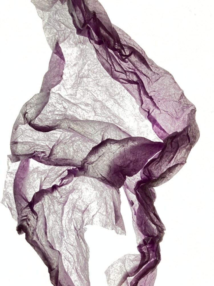 shavingtonart's tweet photo. Who would have thought some crumpled tissue paper on a light box could be so beautiful! Some of our year 10 photographers have been working in the style of Naomi White, very excited to see how this project develops! https://t.co/wwyI8fsq6b