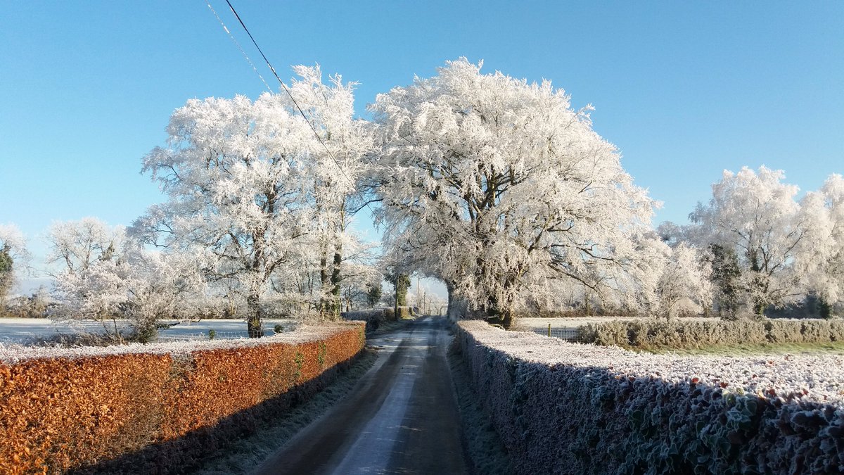 martinastro2005's tweet image. Absolutely stunning hoar frost formations outside Omagh today, 1cm-2cm thick, best winter scenes I've witnessed since 2010 without question. Here are a couple of phone snaps for now #hoarfrost #omagh #coldspell