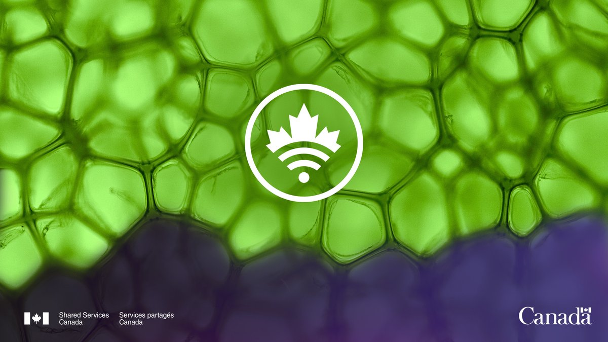 SSC_CA's tweet photo. COP15 on #biodiversity is happening now! This conference focuses on protecting nature and halting biodiversity loss around the world. We’re proud to support #COP15 and our #GCPartners by ensuring all IT services are in place to facilitate the conference. https://t.co/iP9nnKD6eC