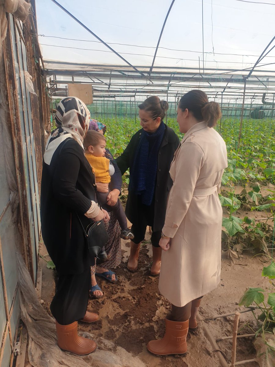 AK Parti Kadın Kolları tweet media