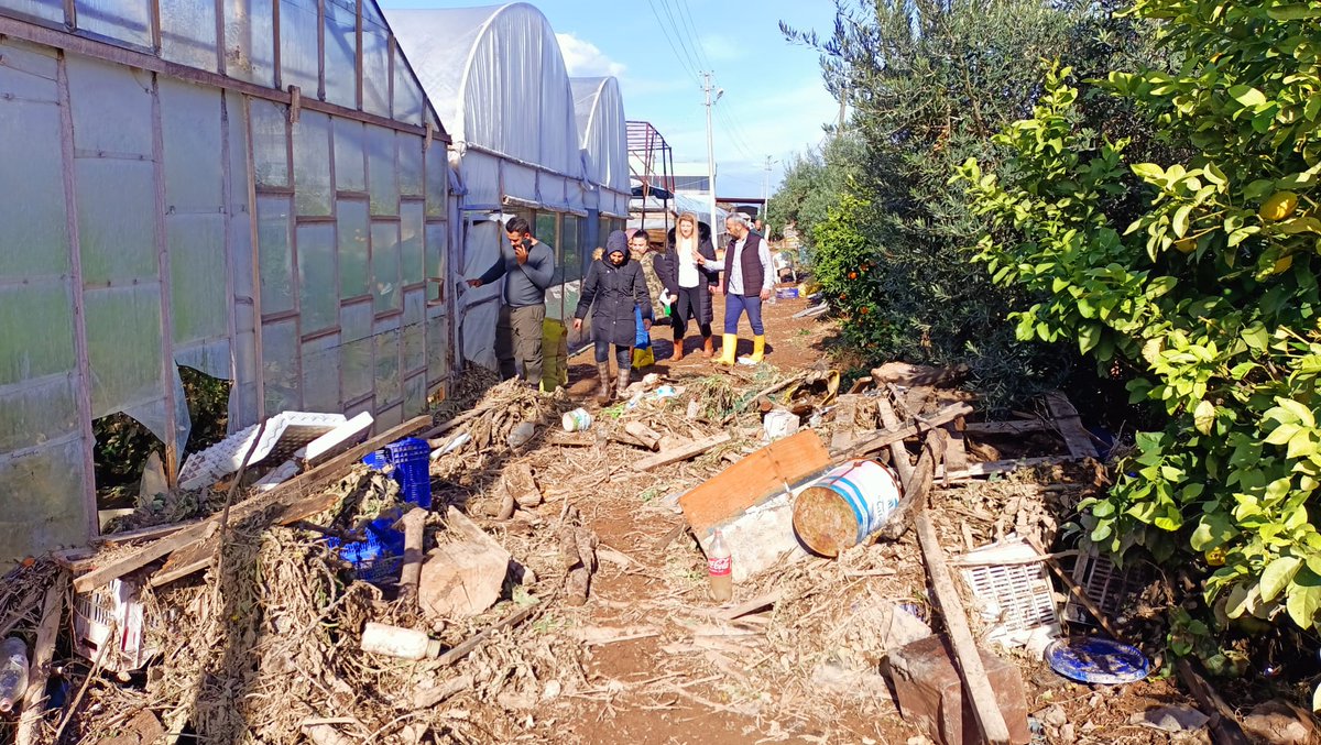 AK Parti Kadın Kolları tweet media