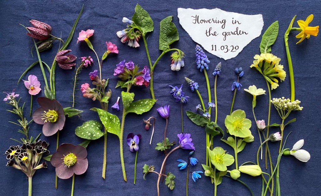 In case you're struggling with wintry low mood it might help to know that this is just 12 weeks away: