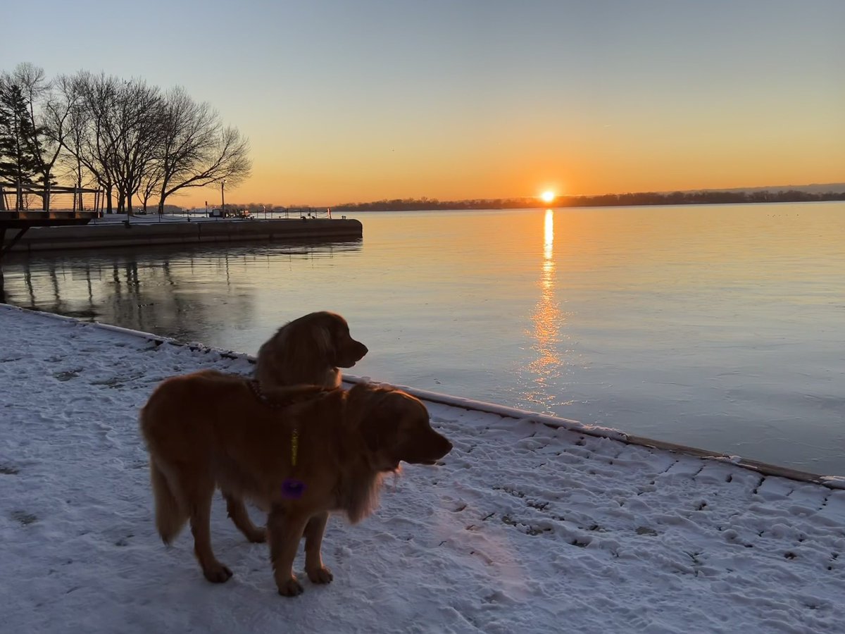 LeoRautins's tweet photo. Perfect start to my day…☕️sunrise☀️ with Cooper &amp; Summer…a clean up with @phillipe76 @FiorioYorkville &amp; and espresso with the legend Maurice Fiorio🙌 https://t.co/LWDeE9CZDF