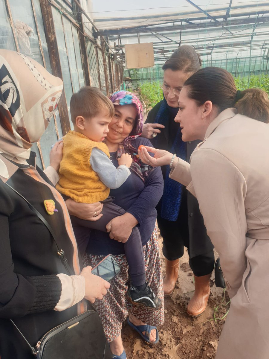 AK Parti Kadın Kolları tweet media