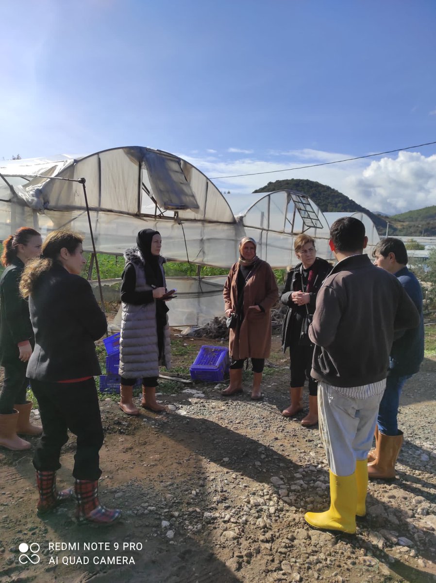 AK Parti Kadın Kolları tweet media