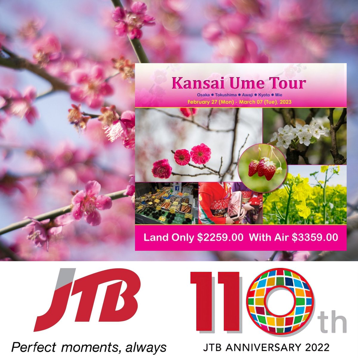 📢Tour closing, register now!

Kansai Ume Tour
Feb 27 ~ Mar 7, 2023
👉 Escorted from Honolulu 

jtbusa.com/doc/Print_2023…

#visitkansai #kansai #visitosaka #PlumBlossoms #visitjapan #Japan #osaka #tour