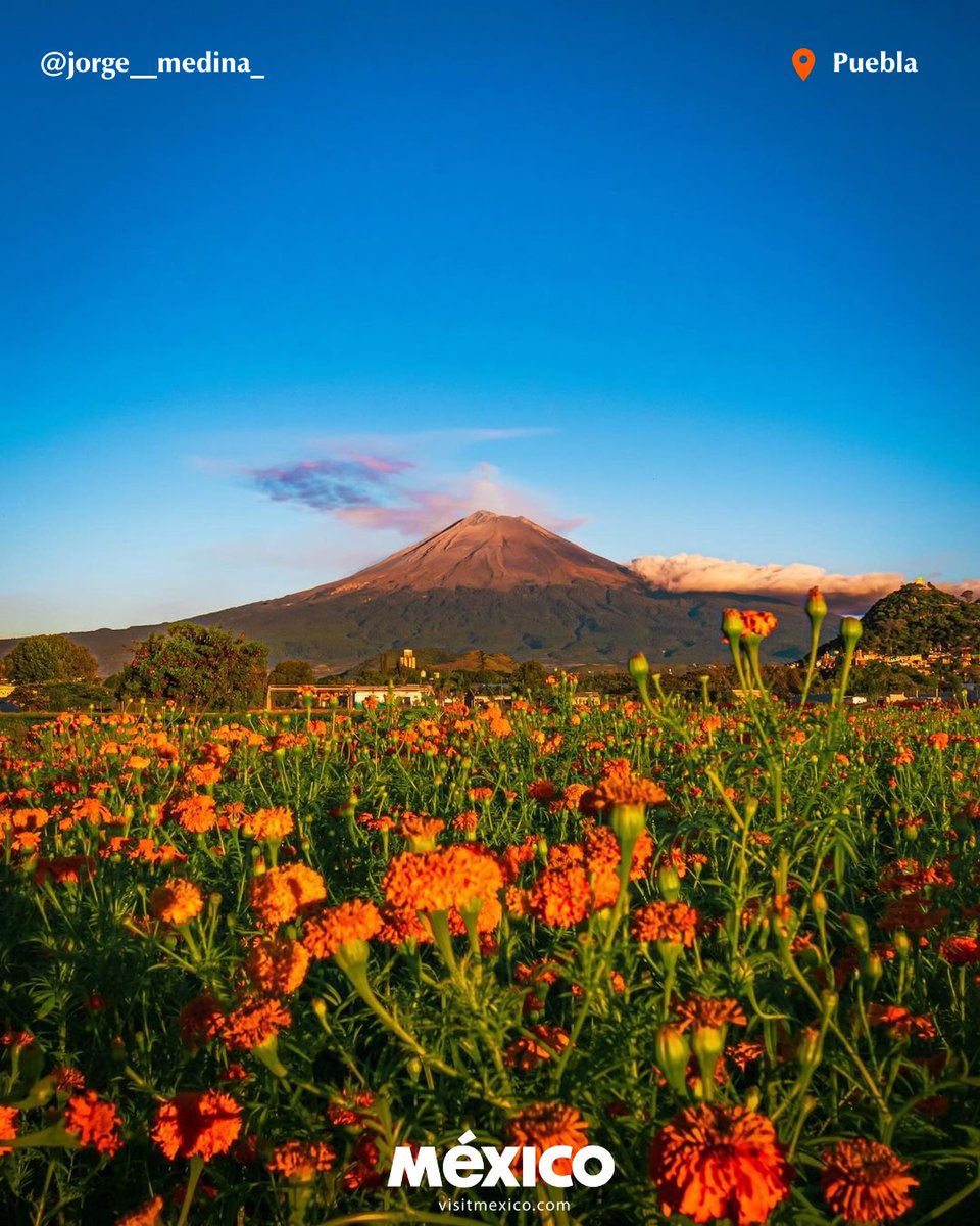 If you have little energy today, just by looking at this beautiful postcard from Atlixco it will go away. Do you try 💫? 📸 @jorge__medina_ #VisitMéxico