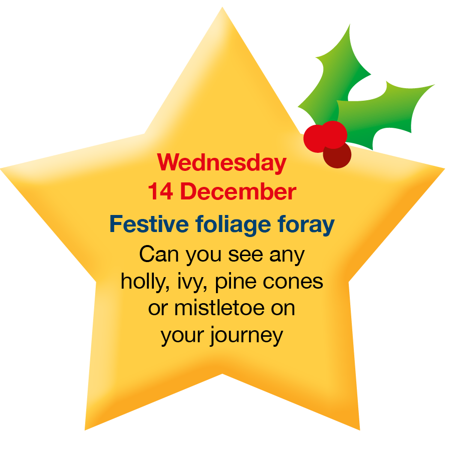 Be_Travel_Smart's tweet photo. Wednesday is winter plant detectives day so keep your eyes peeled for evergreens and berries on your #activetravel school journey &amp; tell us what you discover🔎🌲
#ModeshiftWinterWonderland https://t.co/9z7hqLjIRg