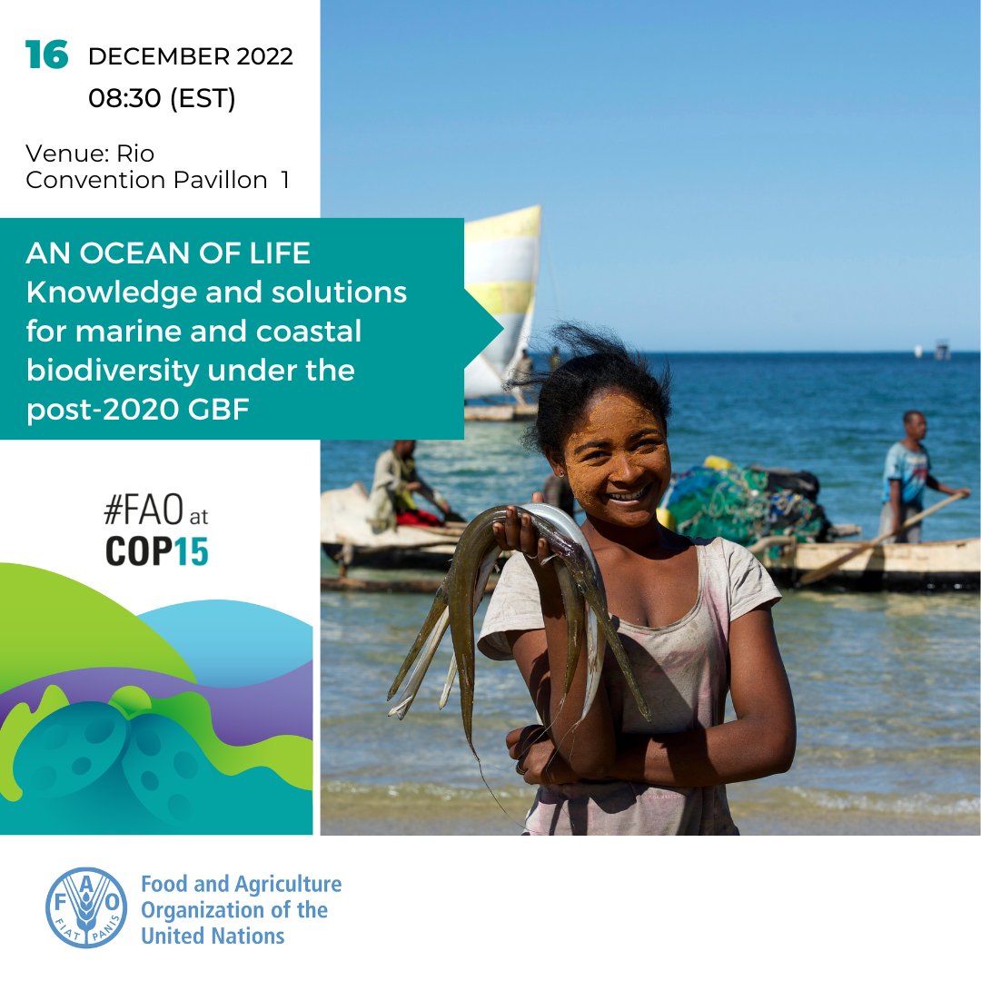 🚨 Save the date | @FAOFish at #COP15 

"AN OCEAN OF LIFE" , an #OceanDecade event.

🗓️ Friday, 16 December 2022
🕣 08:30 EST
📍   Rio Conventions’ Pavilion, Blue Zone.

Check this page to know more 👉  bit.ly/3uIZTOc 

💻 Watch the event live ➡️ bit.ly/3WfnOAA