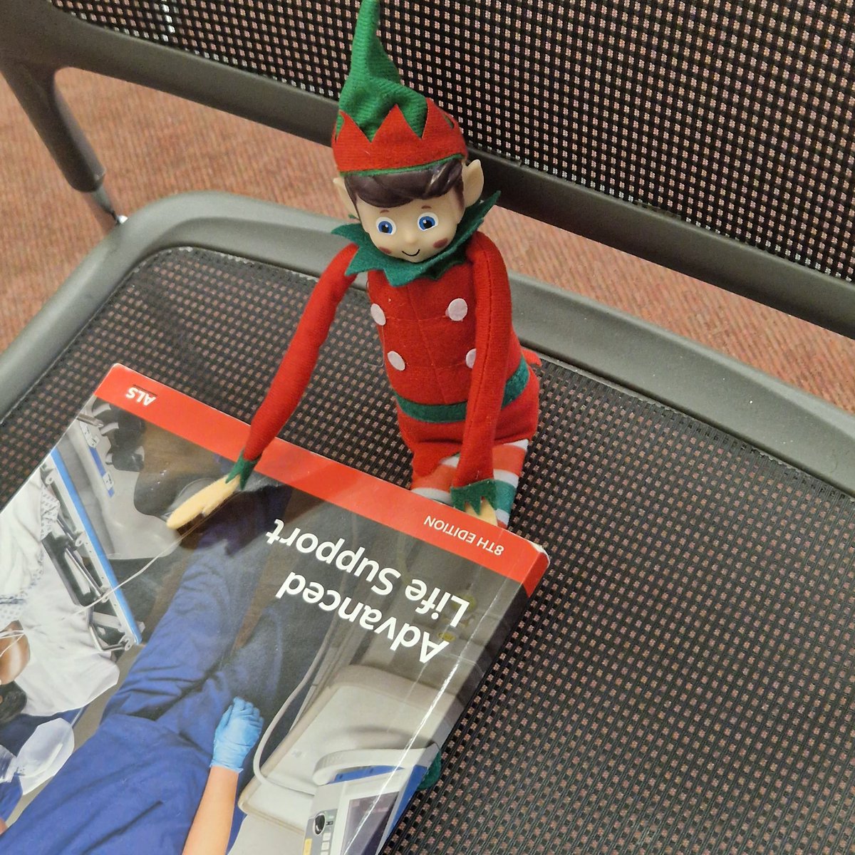 SouthTeesResus's tweet photo. The mischievous Elf has helped resuscitation officer @JoanneJofisher choose the fact of the week. He loved reading the ALS manual and may even book onto our next available course through @STRIVEEvents @DonnaResus #southteesresus @hilarylloyd13 https://t.co/yaE7mH9lec