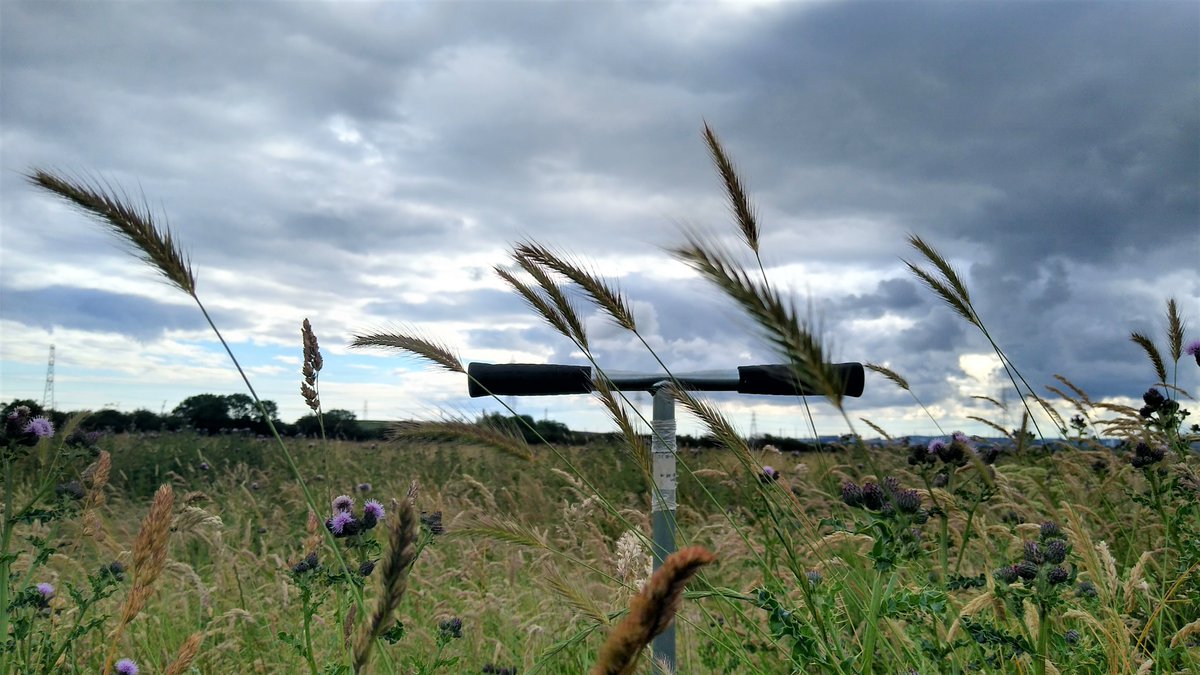 ambroise_baker's tweet photo. #PhDpositions in #Rewilding #Ecology, promoting #ecosystemengineers, #NatureBasedSolutions and #naturerecovery, research with @TeesEarthEnv
@RewildingB and @RSPBSaltholme.
https://t.co/VTYohN4TWL https://t.co/sRS7cfcfn5