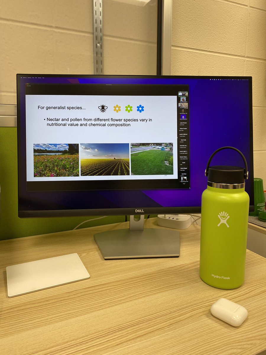 Learning all about #bees and diet and pathogens today in an excellent #PhD defense by soon-to-be Dr. <a href="/alfowlfa/">Alison Fowler</a>! 🐝🌻🧫