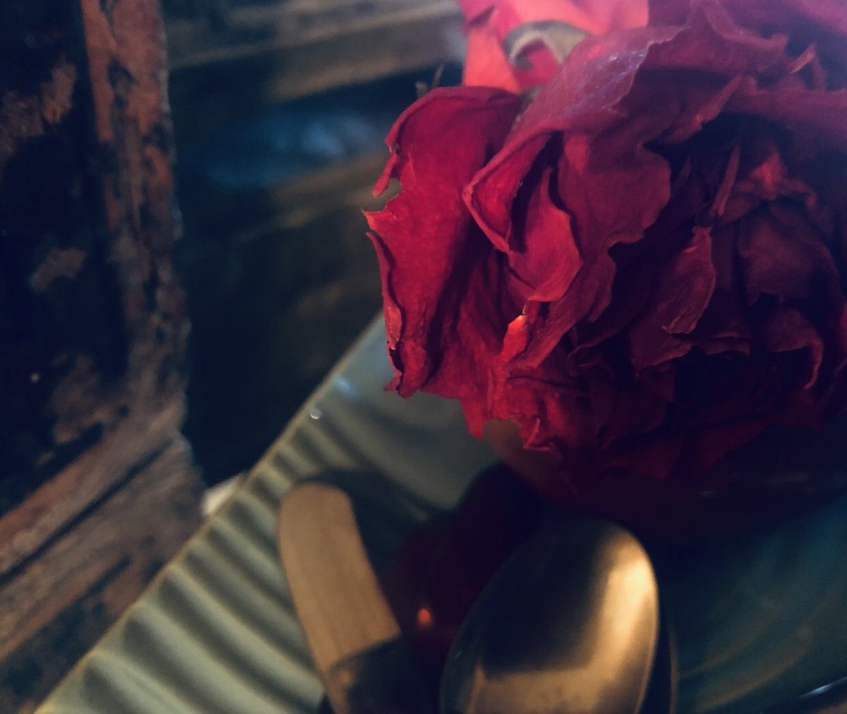 Dana Blake Scopa tweet media