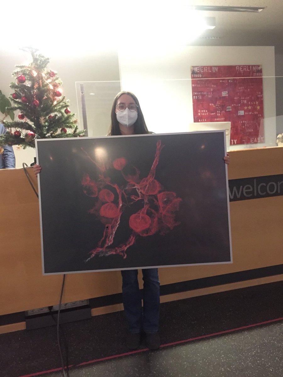 Eva Maria Funk tweet media