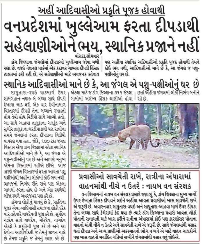 स्थानीय आदिवासियों का मानना ​​है कि यह जंगल जानवरों और पक्षियों का घर है🏹🌾🏹

#आदिवासी #adivasibhil