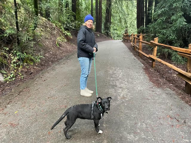 USFFaculty's tweet photo. New #USFFA Member Mondays: Meet Carrie, new term faculty in Art and Architecture. As an interdisciplinary artist, she explores how tech systems shape our lives. Her work has been exhibited all around the Bay! Welcome Carrie AND her adorable pup, Orca to USFFA! https://t.co/6GFqONWTuy