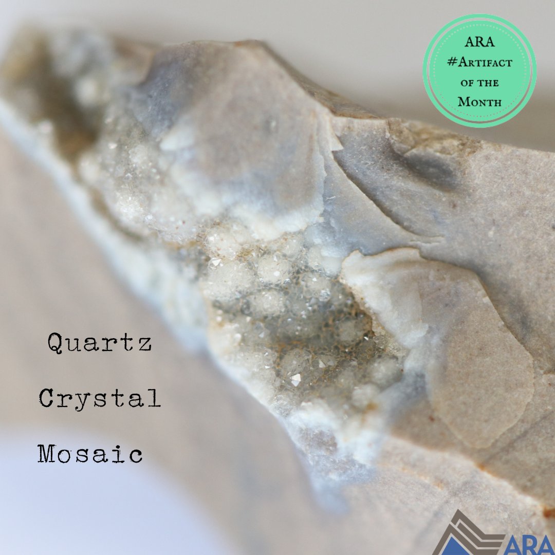 ARA Archaeology tweet media