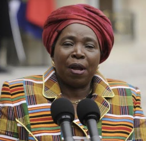 kimheller3's tweet photo. #Section89PanelReport 

Dr Nkosazana Dlamini-Zuma symbolises a principled, fearless leader

She has set aside her own political interests in pursuit of what is right &amp; in interest of South Africa 

This is a precious &amp; rare thing to find in the current day ANC 

Much respect 🙏🏽 https://t.co/4o8duW8baE
